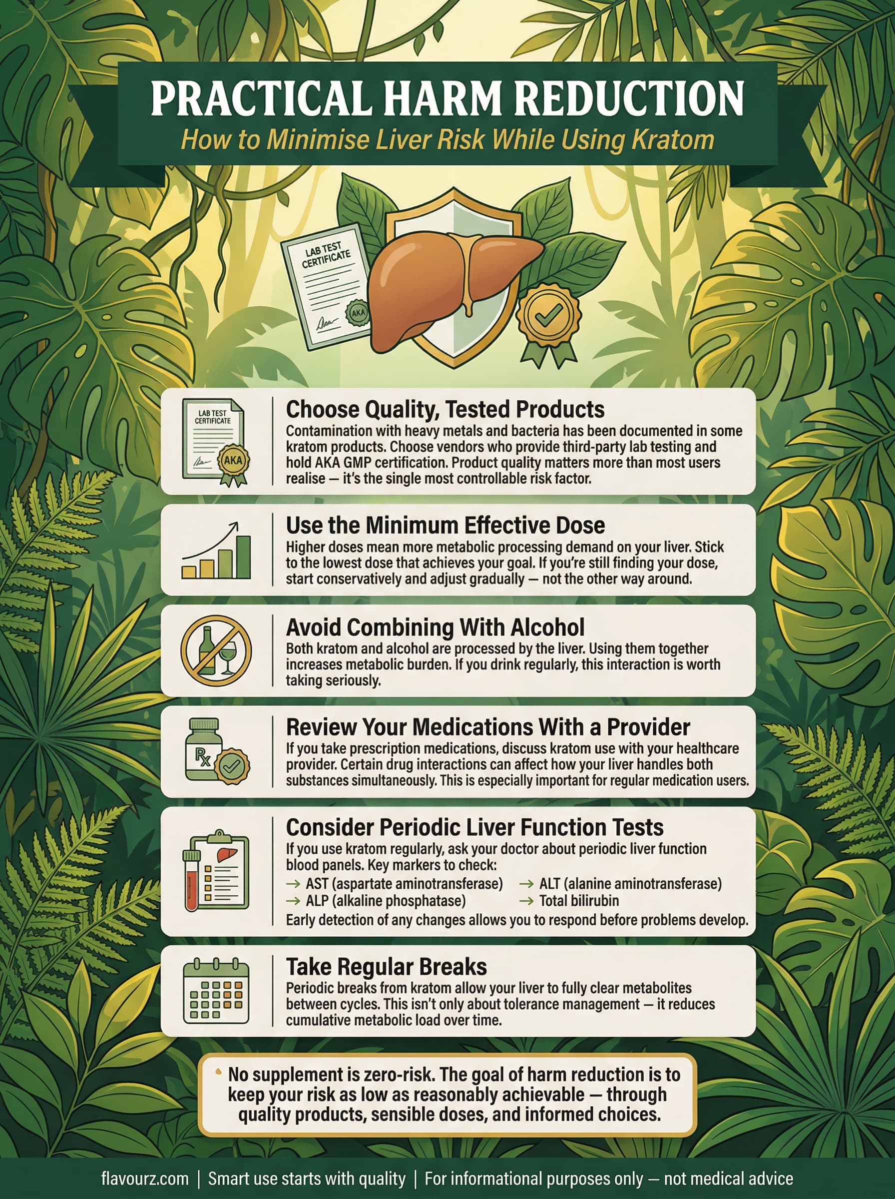infographic for Practical Harm Reduction Protecting Your Liver
